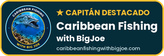 Capitán Destacado en Caribbean Fishing with BigJoe
