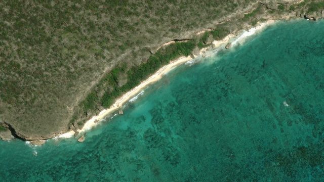 Playa Brava, Isla de Mona