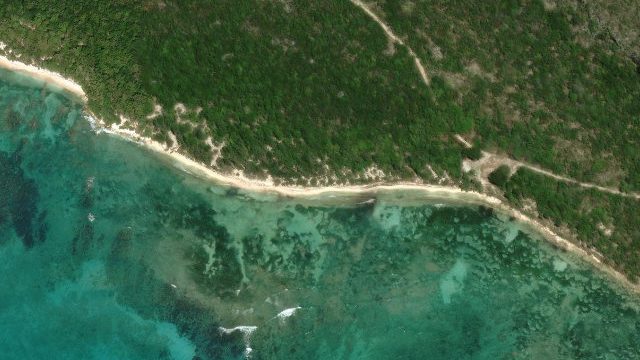 Playa Uvero, Isla de Mona