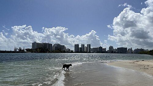 Playa Arenosa San Juan
