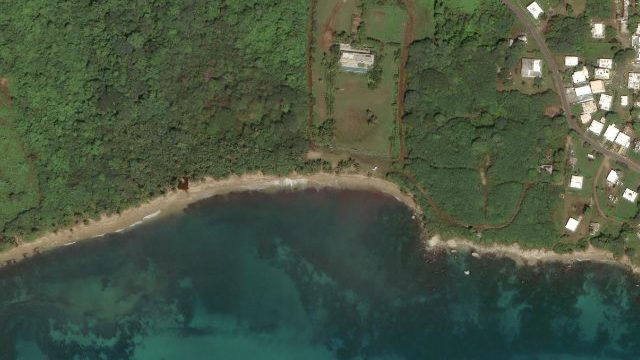 Coconut Beach Vieques
