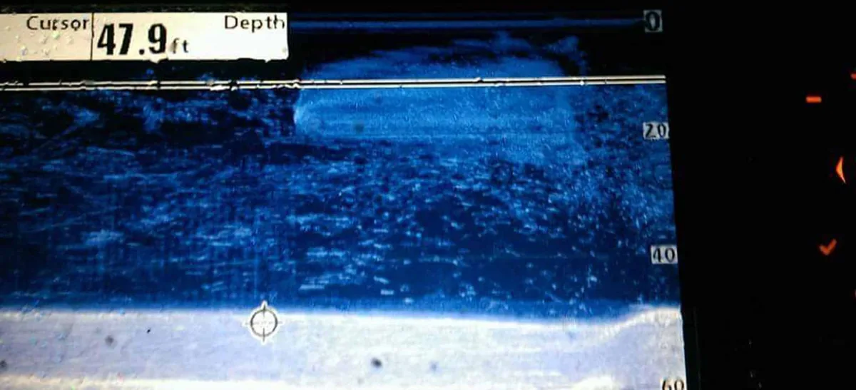 Blue sonar image showing a big dome-shaped school of baitfish high in the water and a bright white bottom near 48 feet