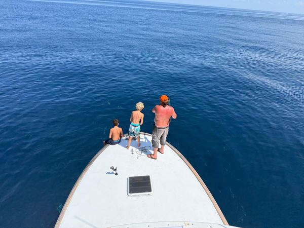 Catch photo from Outdoor Dog Supply: The view from above, offshore