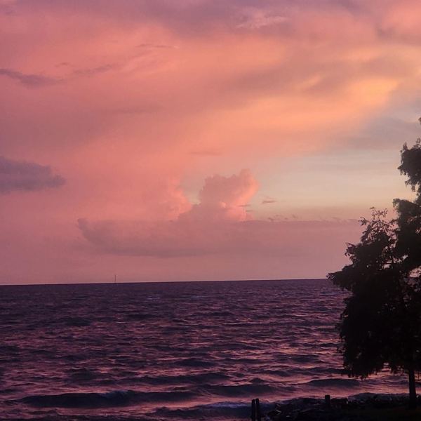 Catch photo from Outdoor Dog Supply: Sunset over the water