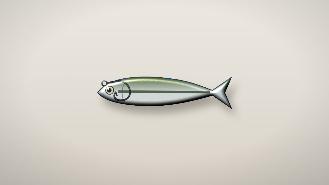 Live Minnows