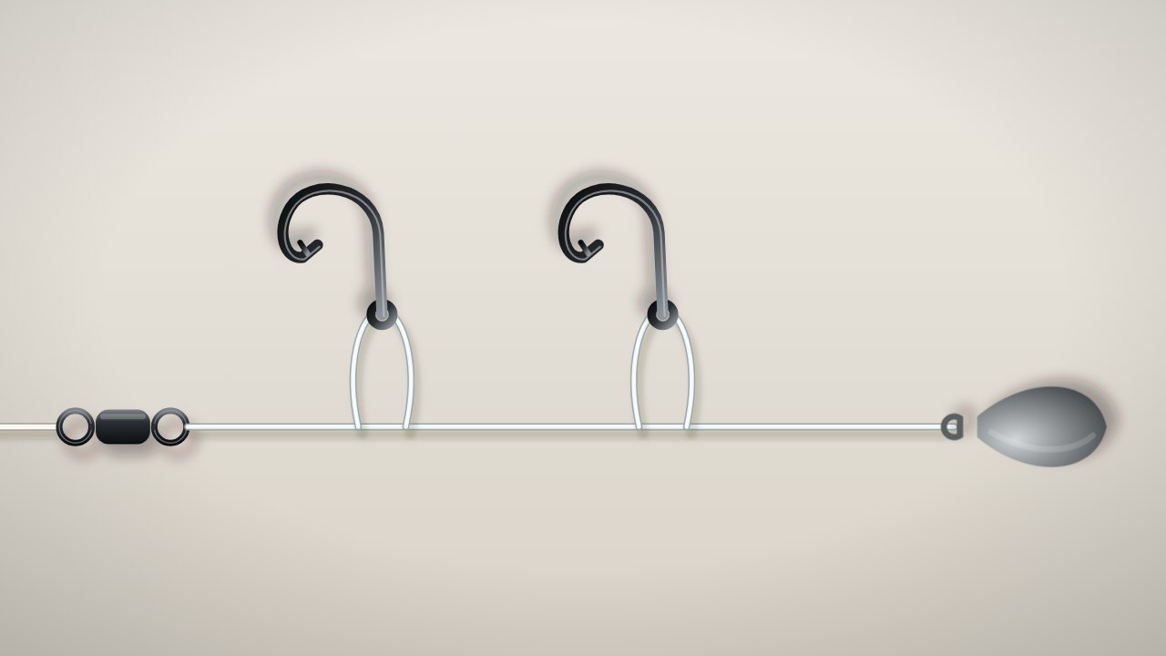 Two-Hook Bottom Rig / Double Drop