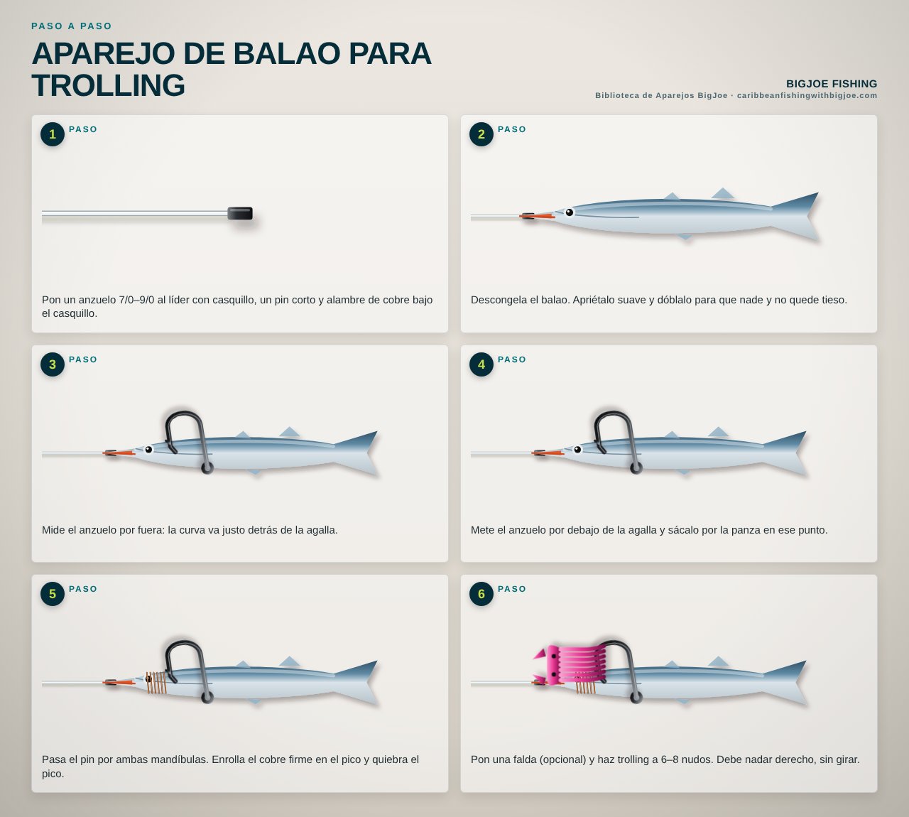 Aparejo de Balao para Trolling — Gráfico paso a paso de BigJoe