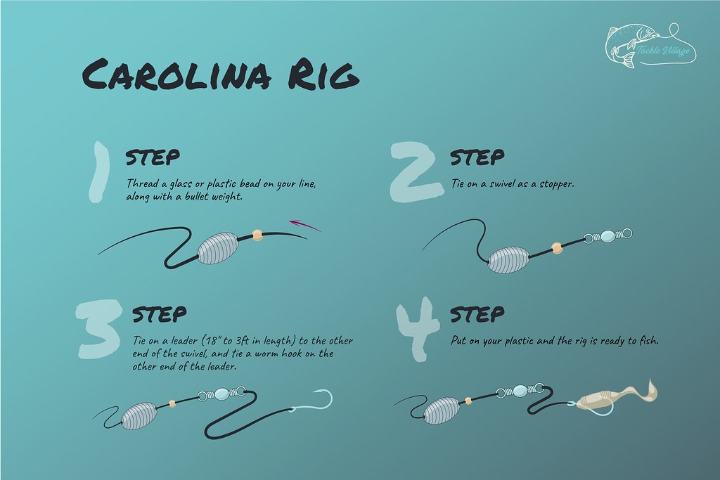 Carolina Rig How To Graphic