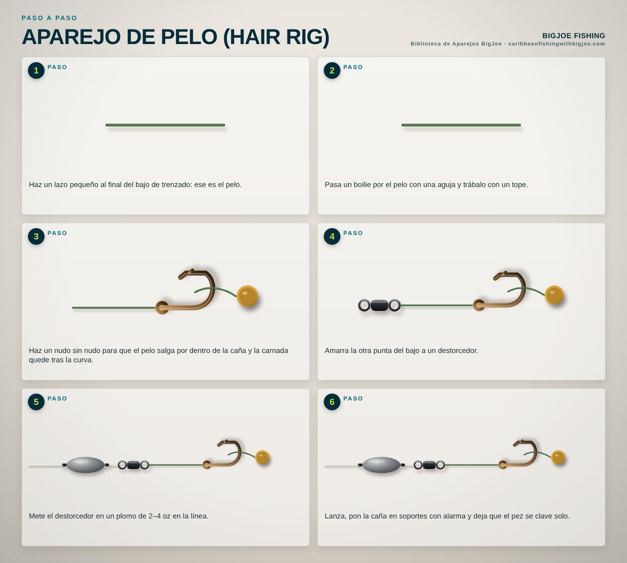 Aparejo de Pelo (Hair Rig) — Gráfico paso a paso de BigJoe