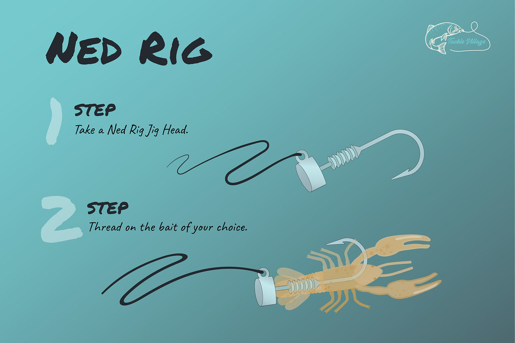 Ned Rig How To Graphic
