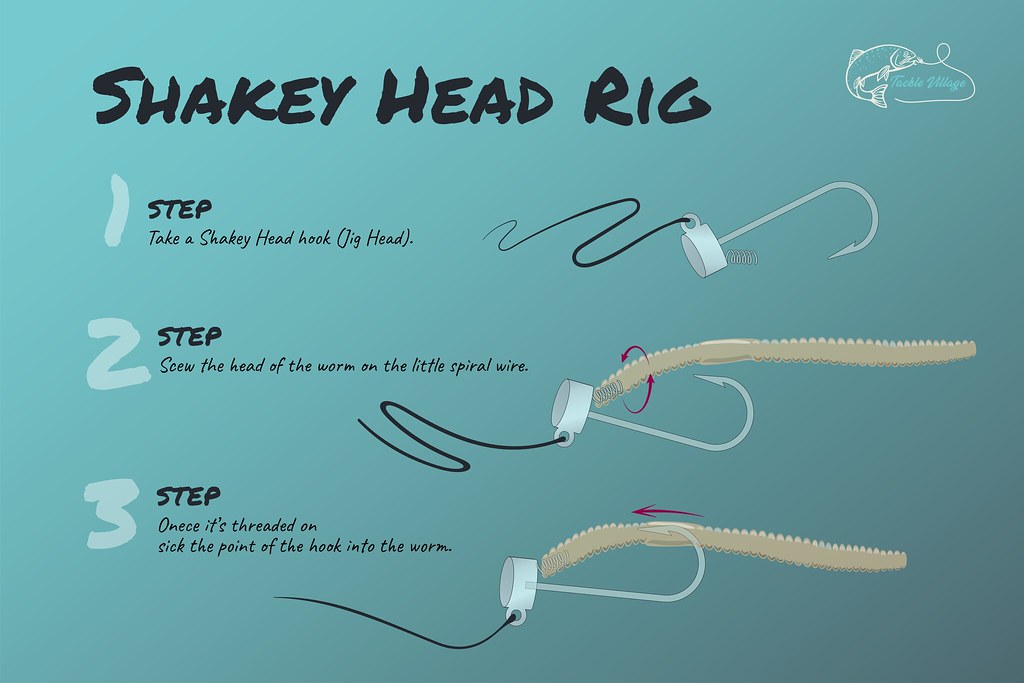 Shakey Head Rig How To Graphic