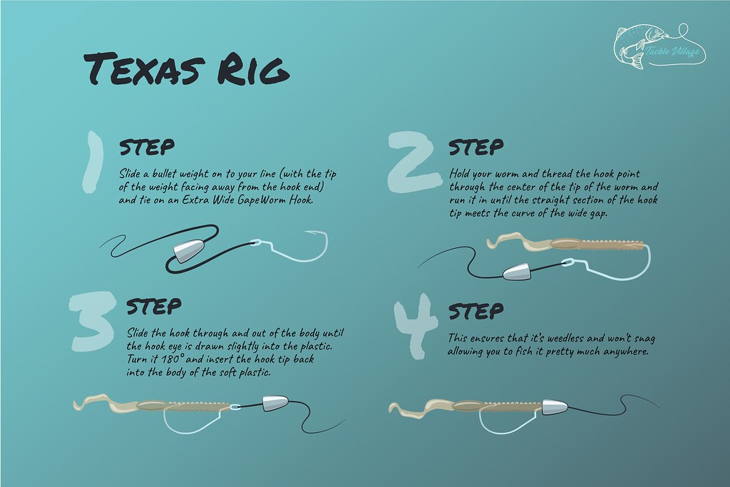 Texas Rig How To Graphic