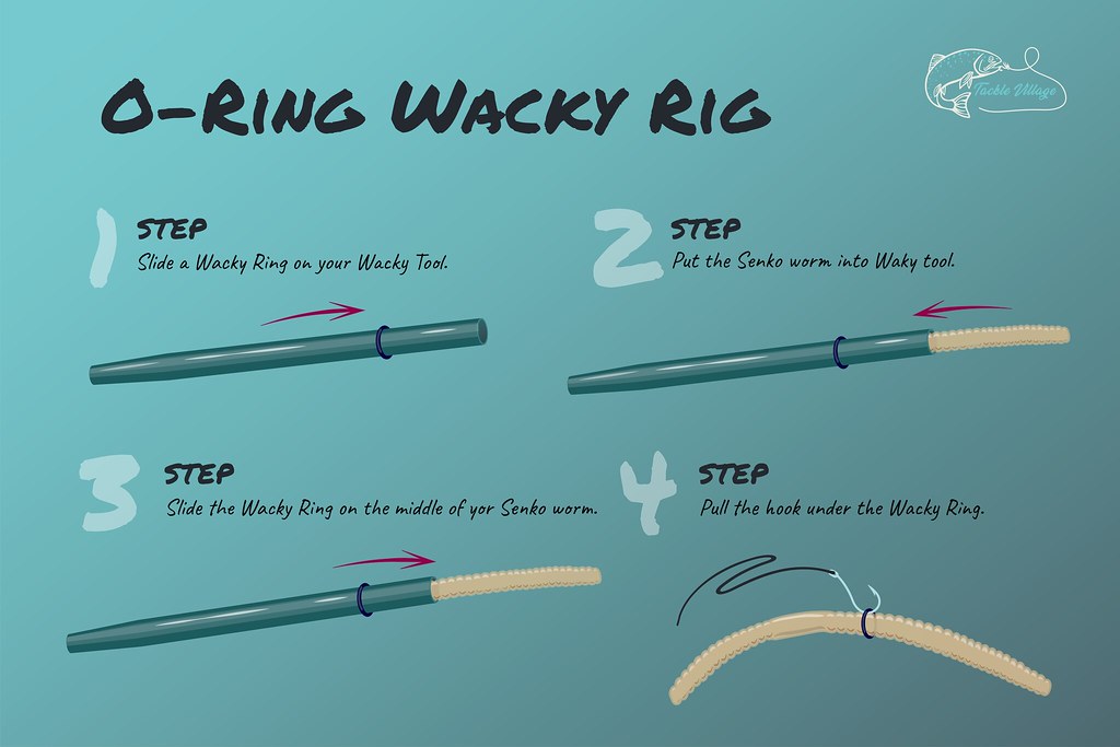 O-Ring Wacky Rig How To Graphic