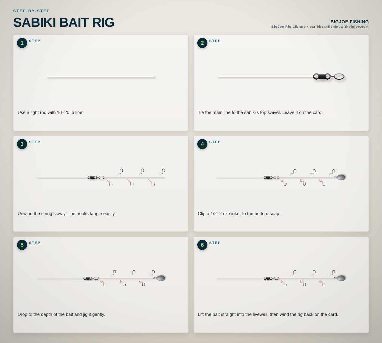 Sabiki Bait Rig — BigJoe step-by-step graphic