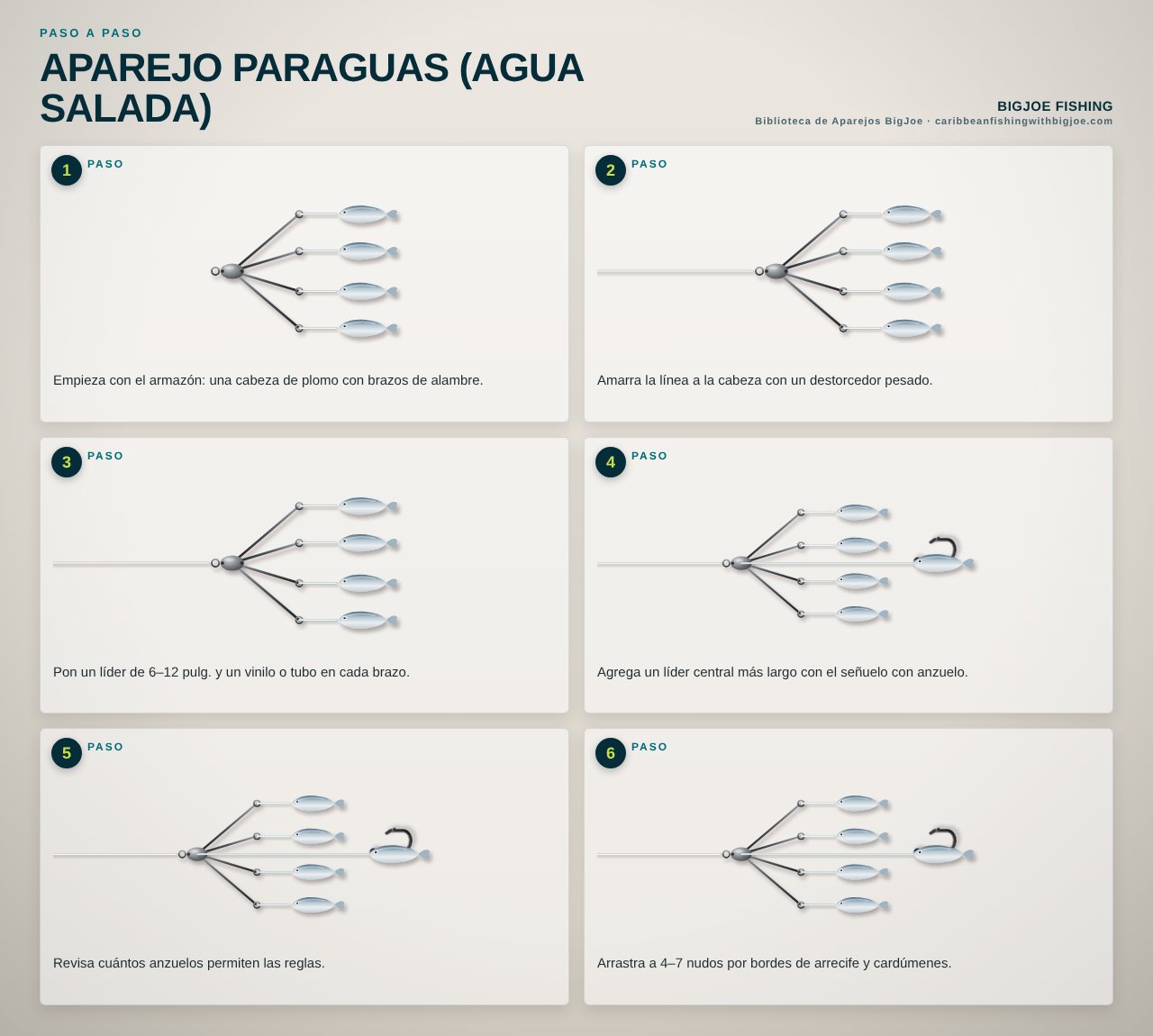 Aparejo Paraguas (Agua Salada) — Gráfico paso a paso de BigJoe