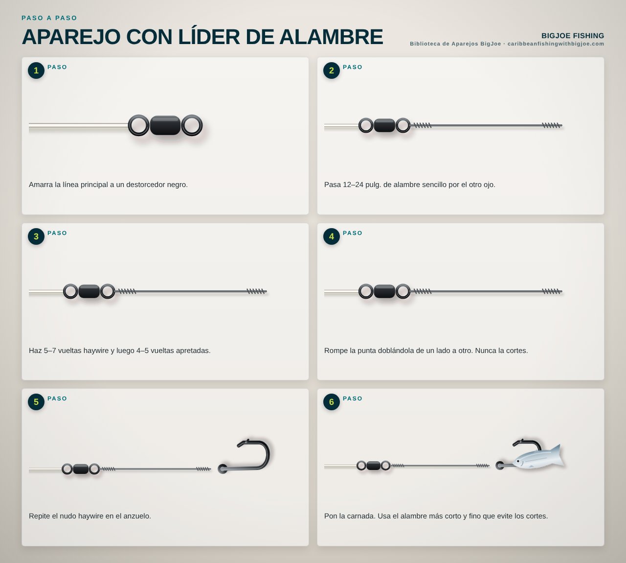 Aparejo con Líder de Alambre — Gráfico paso a paso de BigJoe
