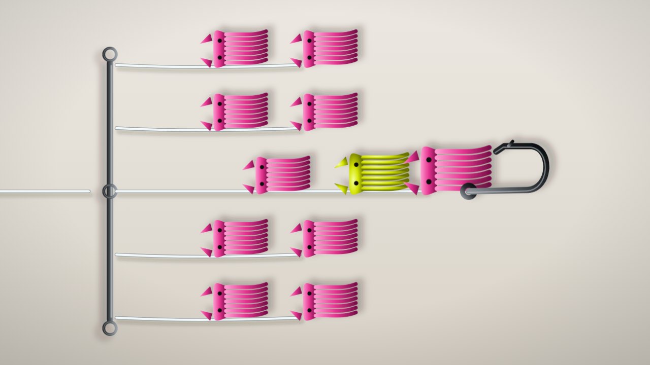 Spreader Bar