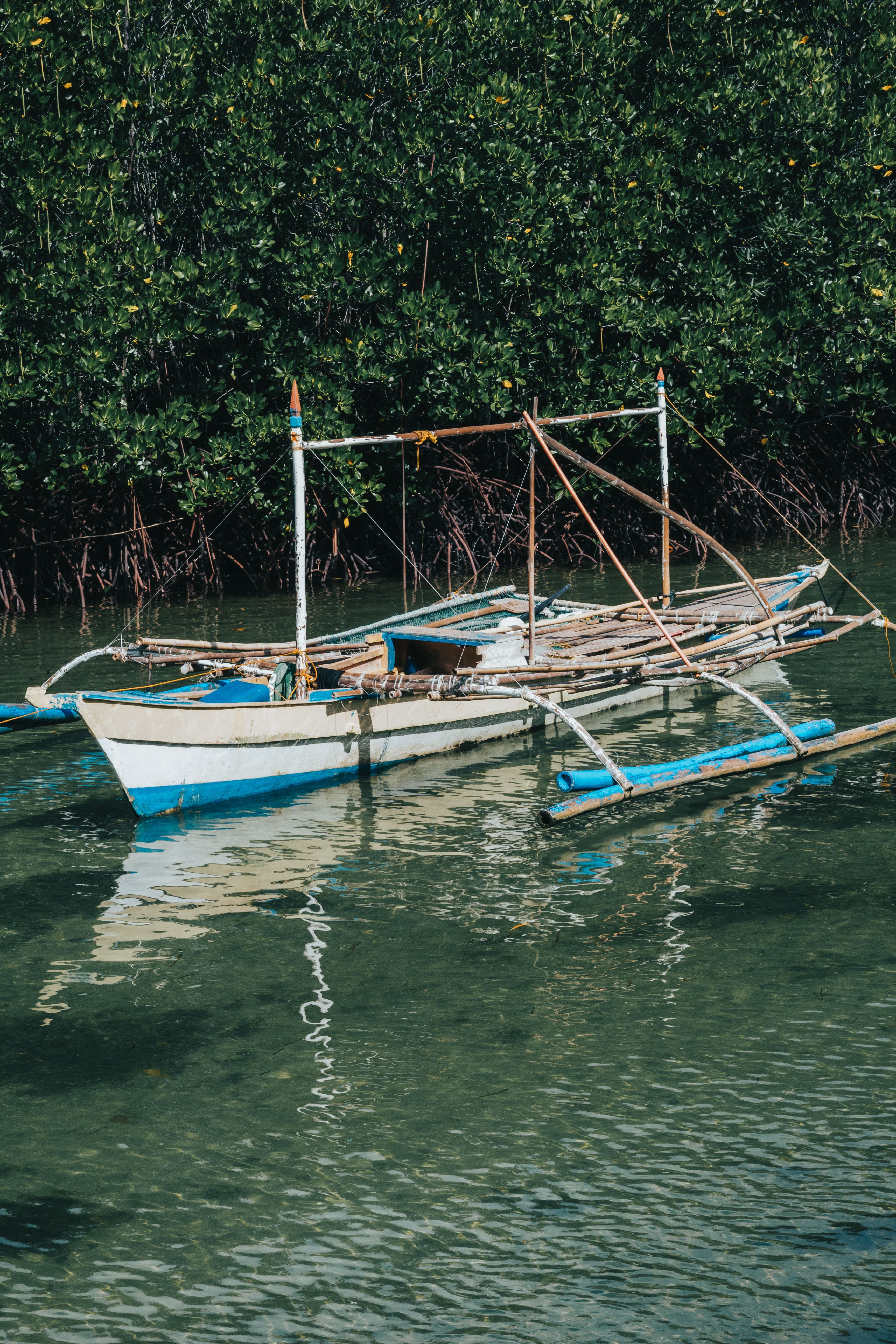 Small fishing boat beside dense mangroves on calm water